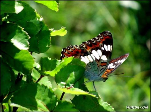 Just For Fun Pictures From India