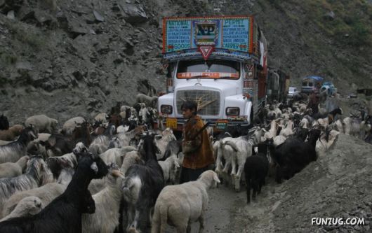 Just For Fun Pictures From India