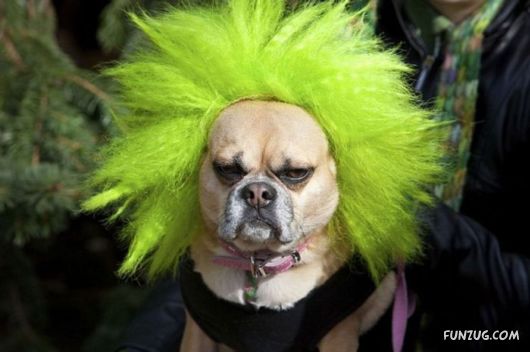 When Laughter Cant Be Avoided