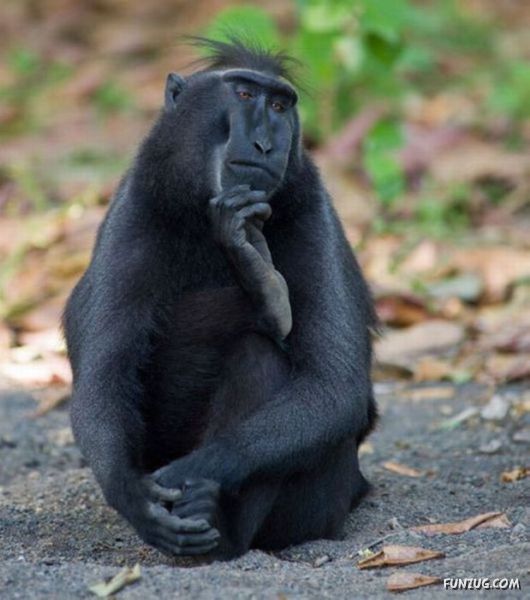 When Laughter Cant Be Avoided