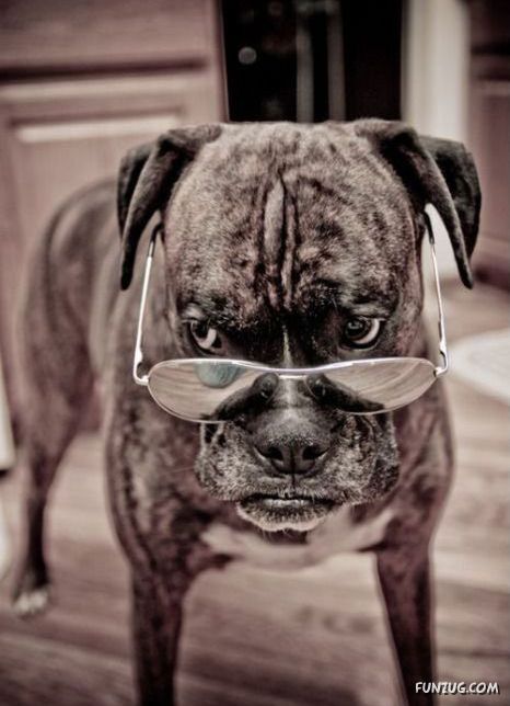 When Laughter Cant Be Avoided