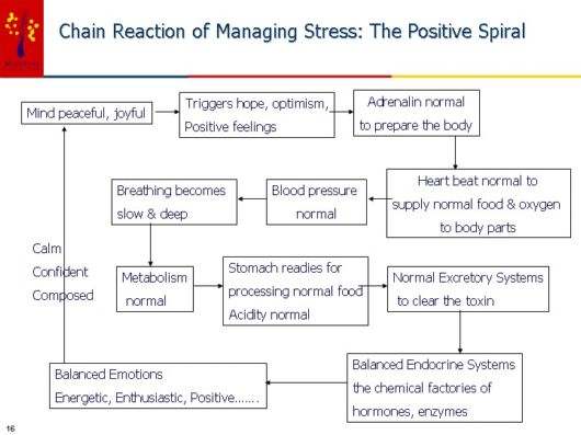 Learn How To Counter Stress