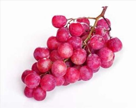 Busting The Health Myth Of Red Wine
