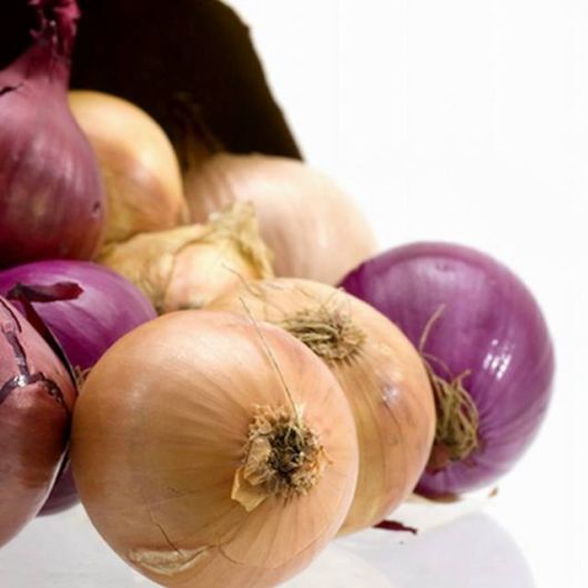 An Interesting Collection Of Facts About Men