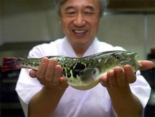 Amazing Facts About Food You Cant Miss