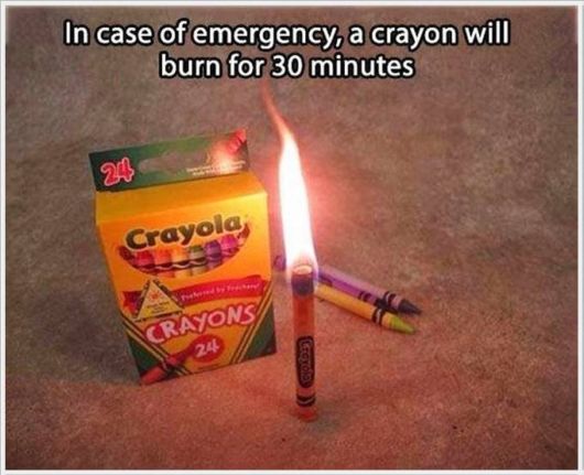 Very Interesting Scientific Facts 