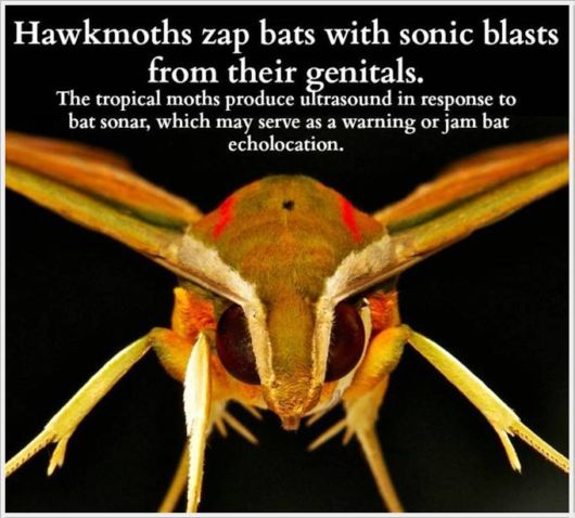 Very Interesting Scientific Facts 