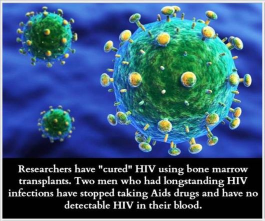 Very Interesting Scientific Facts 