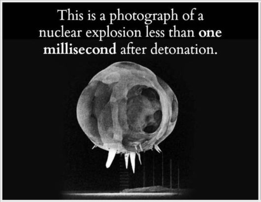 Very Interesting Scientific Facts 