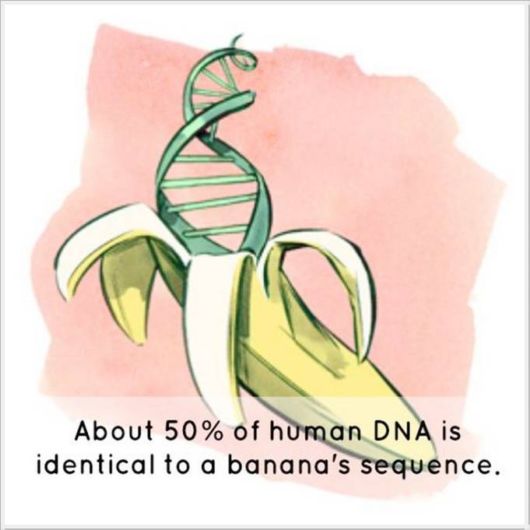 Very Interesting Scientific Facts 