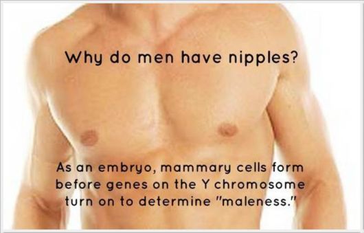 Very Interesting Scientific Facts 