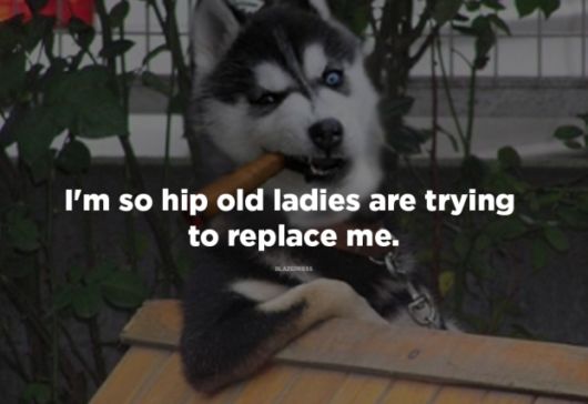 The 21 Best One Liner Jokes Ever