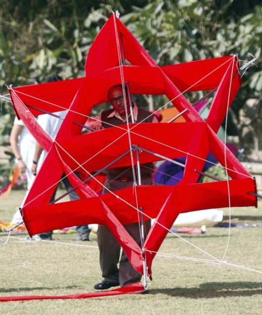The Kite Festival Of India