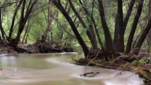 The Border Between USA and Mexico