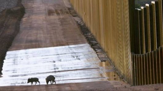 The Border Between USA and Mexico