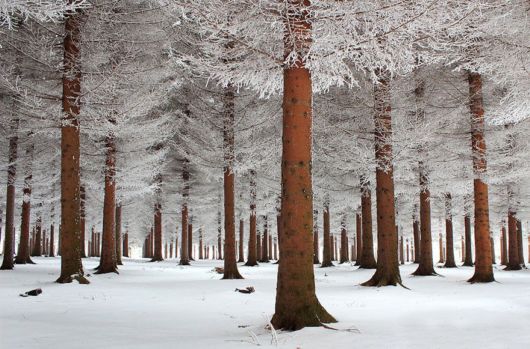 Breathtaking Photos Of Winter Landscapes