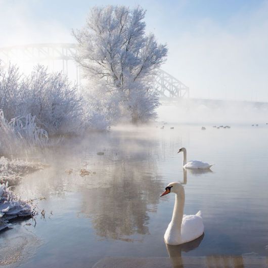 Breathtaking Photos Of Winter Landscapes