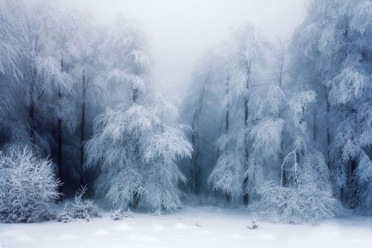 Breathtaking Photos Of Winter Landscapes