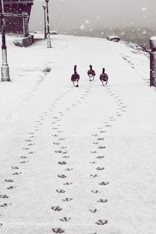 Breathtaking Photos Of Winter Landscapes