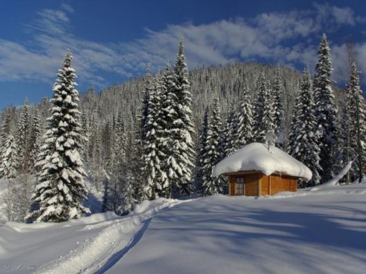 The Harsh Winter Season