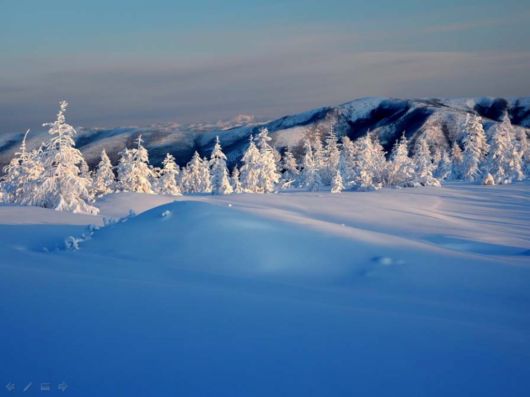 The Harsh Winter Season