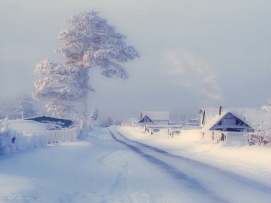 The Harsh Winter Season