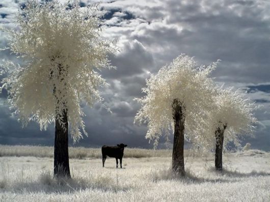 The Harsh Winter Season