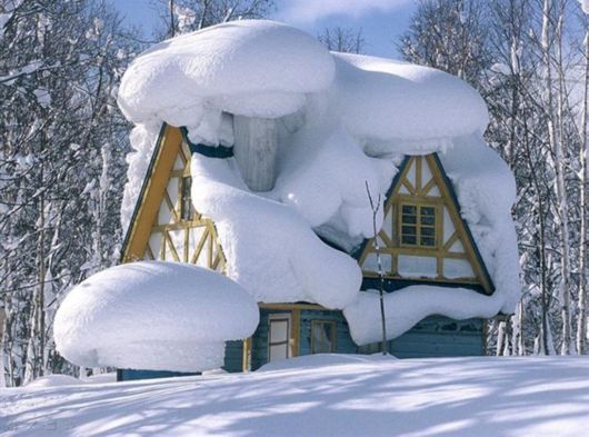 The Harsh Winter Season