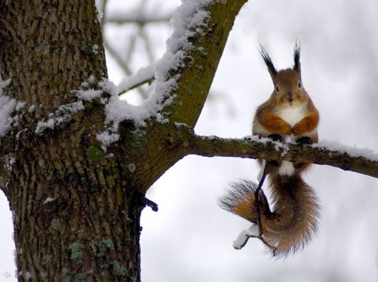 The Harsh Winter Season