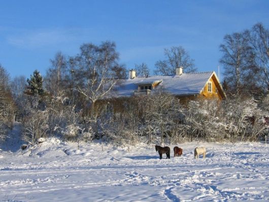 The Harsh Winter Season
