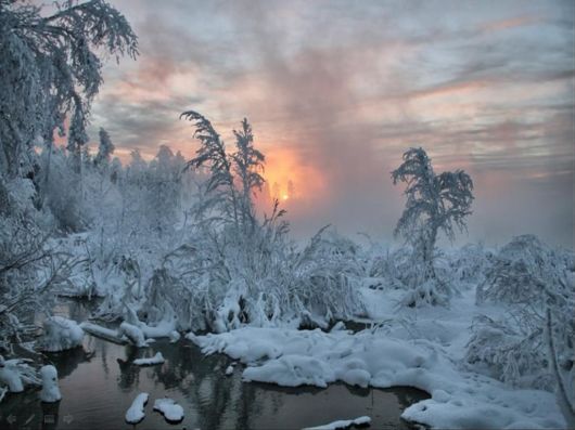 The Harsh Winter Season