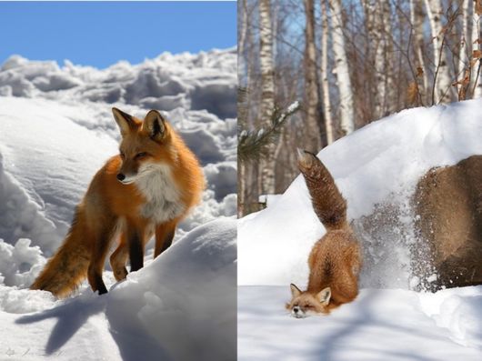 The Harsh Winter Season