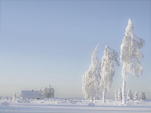 The Harsh Winter Season