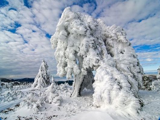 The Harsh Winter Season