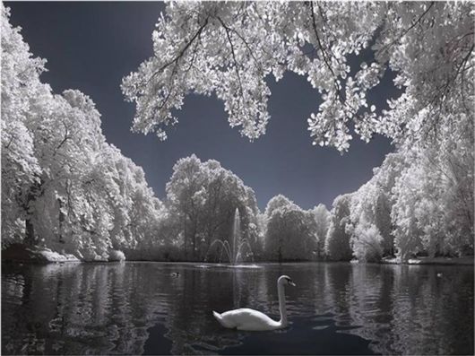 The Harsh Winter Season