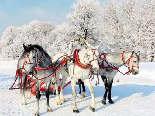 The Harsh Winter Season