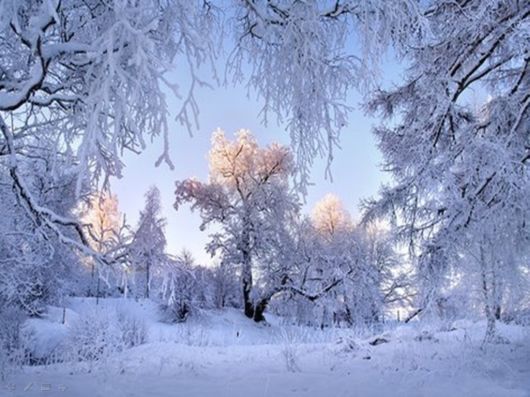The Harsh Winter Season
