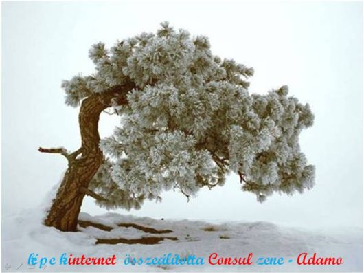 The Harsh Winter Season