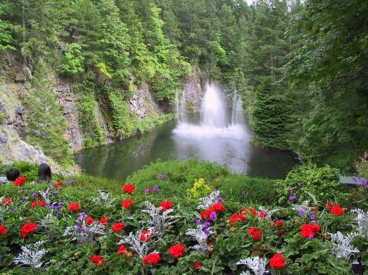 Love The Mother Nature