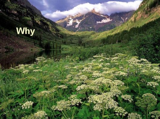 Love The Mother Nature