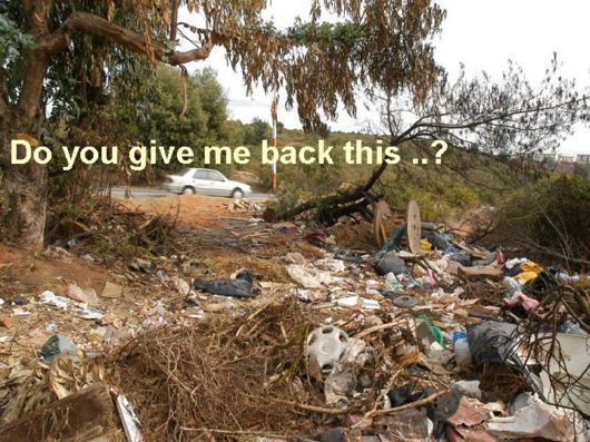 Love The Mother Nature