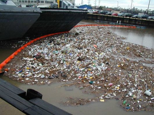 Love The Mother Nature