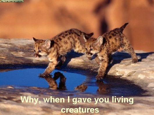 Love The Mother Nature