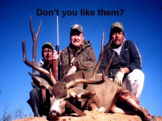 Love The Mother Nature