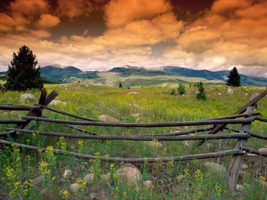 Love The Mother Nature