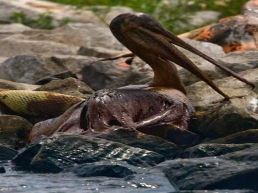 Love The Mother Nature