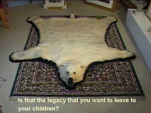 Love The Mother Nature