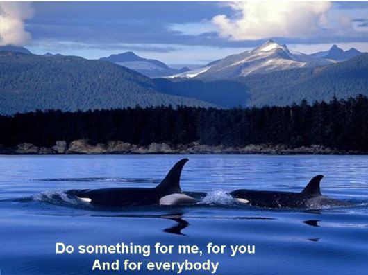 Love The Mother Nature