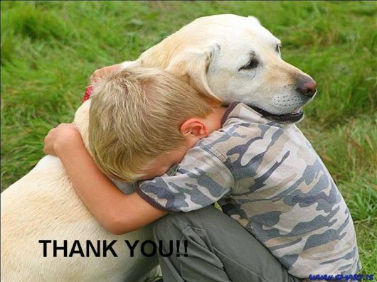 Love The Mother Nature