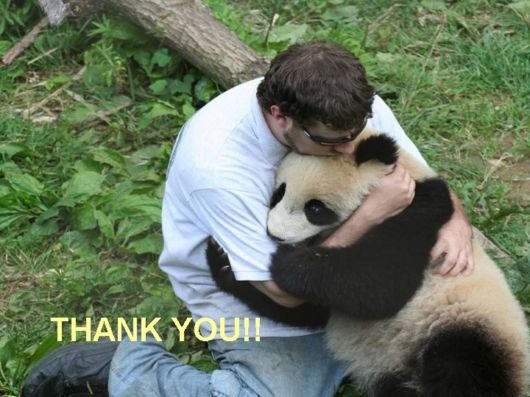 Love The Mother Nature